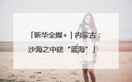 新华全媒+｜内蒙古：沙海之中建“蓝海”