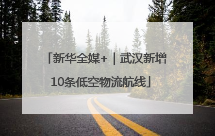 新华全媒+｜武汉新增10条低空物流航线