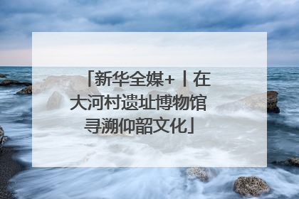 新华全媒+丨在大河村遗址博物馆寻溯仰韶文化