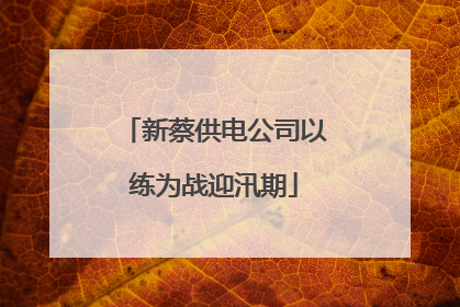 新蔡供电公司以练为战迎汛期