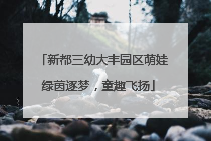 新都三幼大丰园区萌娃绿茵逐梦，童趣飞扬