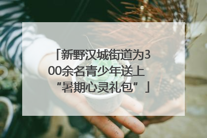 新野汉城街道为300余名青少年送上“暑期心灵礼包”