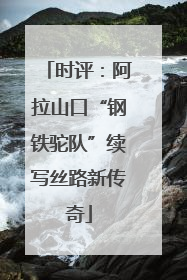 时评：阿拉山口“钢铁驼队”续写丝路新传奇