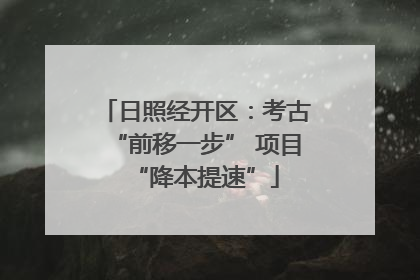 日照经开区：考古“前移一步” 项目“降本提速”