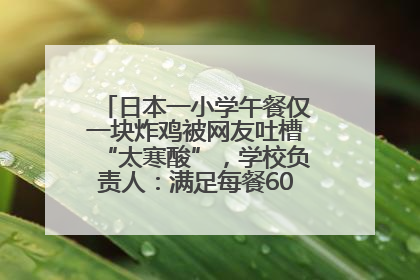 日本一小学午餐仅一块炸鸡被网友吐槽“太寒酸”，学校负责人：满足每餐600千卡的标准