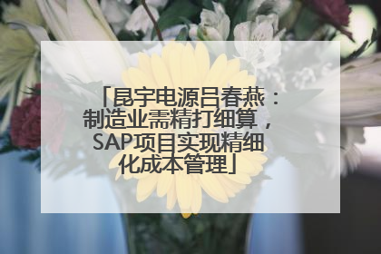 昆宇电源吕春燕：制造业需精打细算，SAP项目实现精细化成本管理