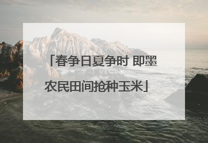 春争日夏争时 即墨农民田间抢种玉米