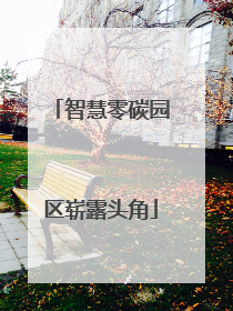 智慧零碳园区崭露头角