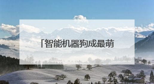 智能机器狗成最萌领跑员，平阳红色越野跑今日开赛