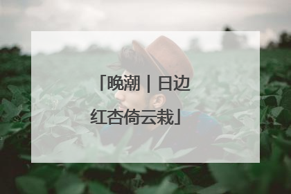 晚潮｜日边红杏倚云栽