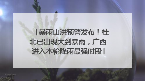 暴雨山洪预警发布！桂北已出现大到暴雨，广西进入本轮降雨最强时段