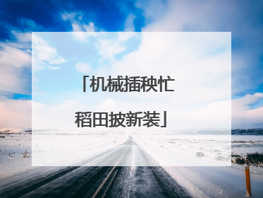 机械插秧忙 稻田披新装