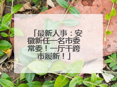 最新人事：安徽新任一名市委常委！一厅干跨市履新！