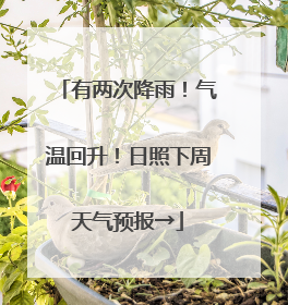 有两次降雨！气温回升！日照下周天气预报→