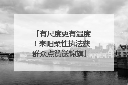 有尺度更有温度！耒阳柔性执法获群众点赞送锦旗