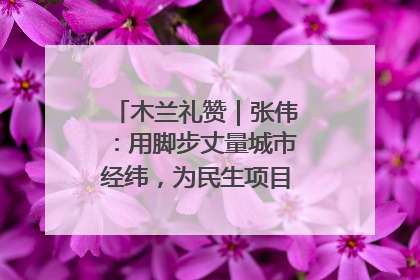 木兰礼赞｜张伟：用脚步丈量城市经纬，为民生项目按下“加速键”
