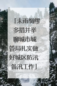 未雨绸缪 多措并举 聊城市城管局扎实做好城区防汛备汛工作