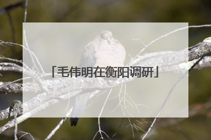 毛伟明在衡阳调研