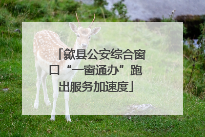 歙县公安综合窗口“一窗通办”跑出服务加速度