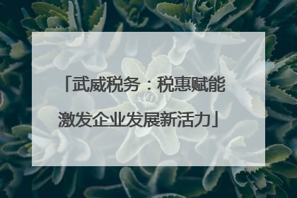 武威税务：税惠赋能 激发企业发展新活力