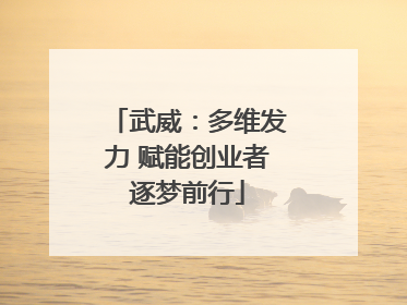 武威：多维发力 赋能创业者逐梦前行