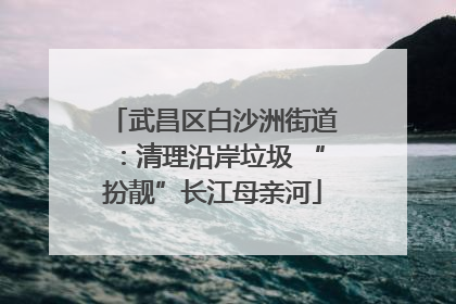 武昌区白沙洲街道：清理沿岸垃圾 “扮靓”长江母亲河