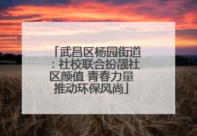 武昌区杨园街道：社校联合扮靓社区颜值 青春力量推动环保风尚