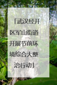 武汉经开区军山街道开展节前环境综合大整治行动