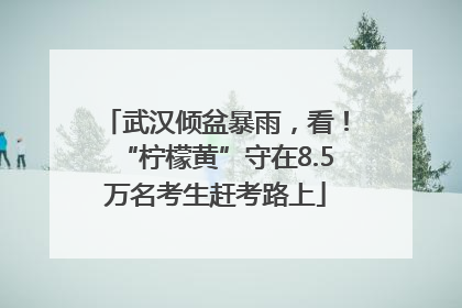 武汉倾盆暴雨，看！“柠檬黄”守在8.5万名考生赶考路上