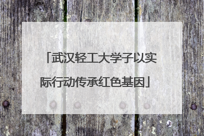武汉轻工大学子以实际行动传承红色基因