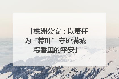 株洲公安：以责任为“粽叶”守护满城粽香里的平安
