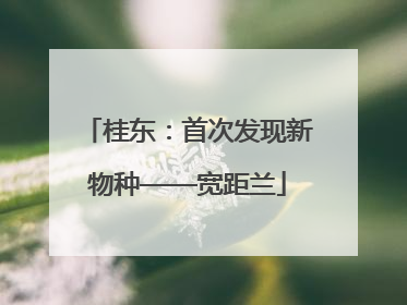 桂东：首次发现新物种——宽距兰