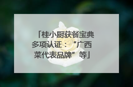 桂小厨获餐宝典多项认证：“广西菜代表品牌”等
