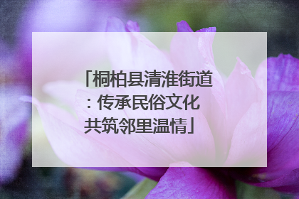 桐柏县清淮街道：传承民俗文化 共筑邻里温情