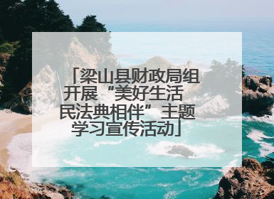 梁山县财政局组开展“美好生活 民法典相伴”主题学习宣传活动