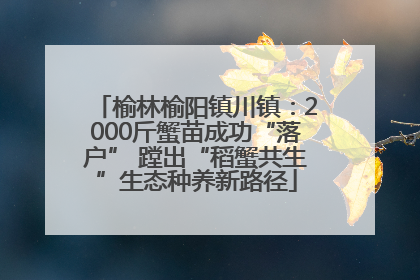 榆林榆阳镇川镇：2000斤蟹苗成功“落户” 蹚出“稻蟹共生”生态种养新路径