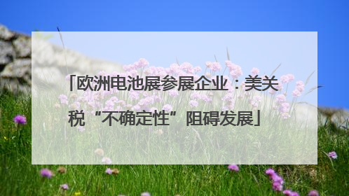 欧洲电池展参展企业：美关税“不确定性”阻碍发展
