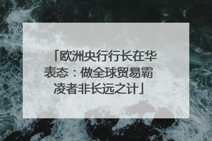 欧洲央行行长在华表态：做全球贸易霸凌者非长远之计