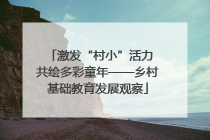 激发“村小”活力 共绘多彩童年——乡村基础教育发展观察