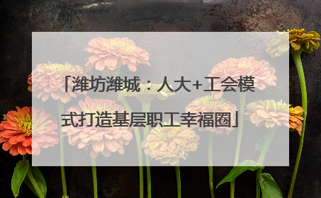 潍坊潍城：人大+工会模式打造基层职工幸福圈