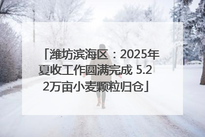 潍坊滨海区：2025年夏收工作圆满完成 5.22万亩小麦颗粒归仓