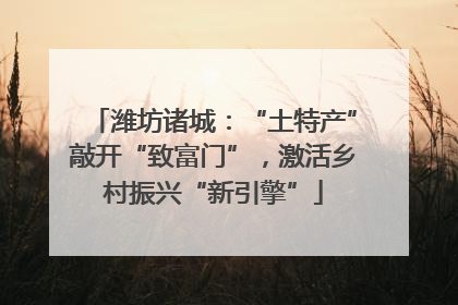 潍坊诸城：“土特产”敲开“致富门”，激活乡村振兴“新引擎”