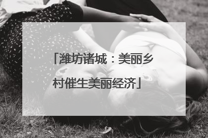 潍坊诸城：美丽乡村催生美丽经济