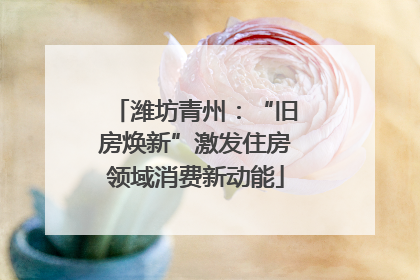 潍坊青州：“旧房焕新”激发住房领域消费新动能