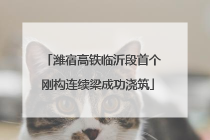 潍宿高铁临沂段首个刚构连续梁成功浇筑