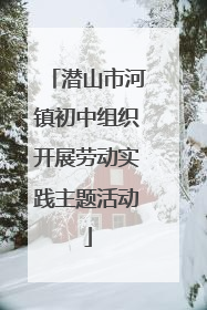 潜山市河镇初中组织开展劳动实践主题活动