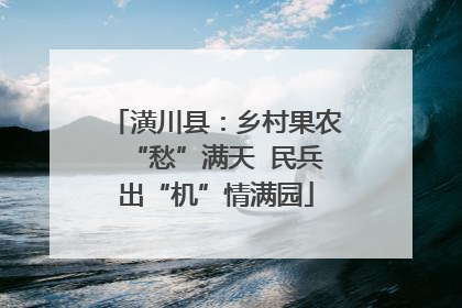 潢川县：乡村果农“愁”满天  民兵出“机”情满园