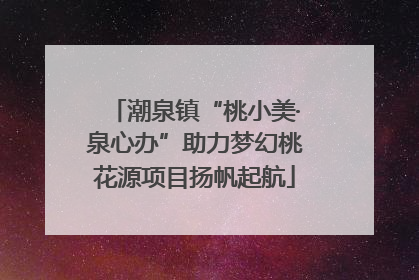 潮泉镇“桃小美·泉心办”助力梦幻桃花源项目扬帆起航