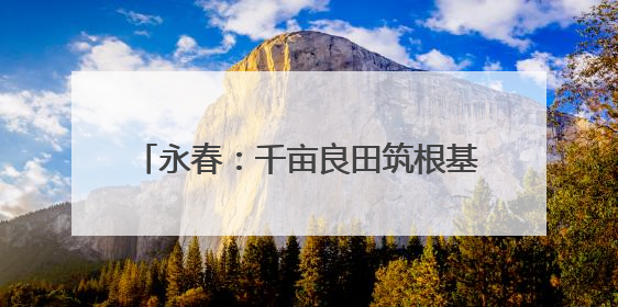 永春：千亩良田筑根基 产业融合绘“丰”景