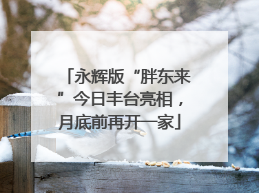 永辉版“胖东来”今日丰台亮相，月底前再开一家